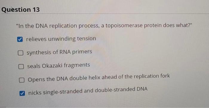 Solved "In the DNA replication process, a topoisomerase | Chegg.com