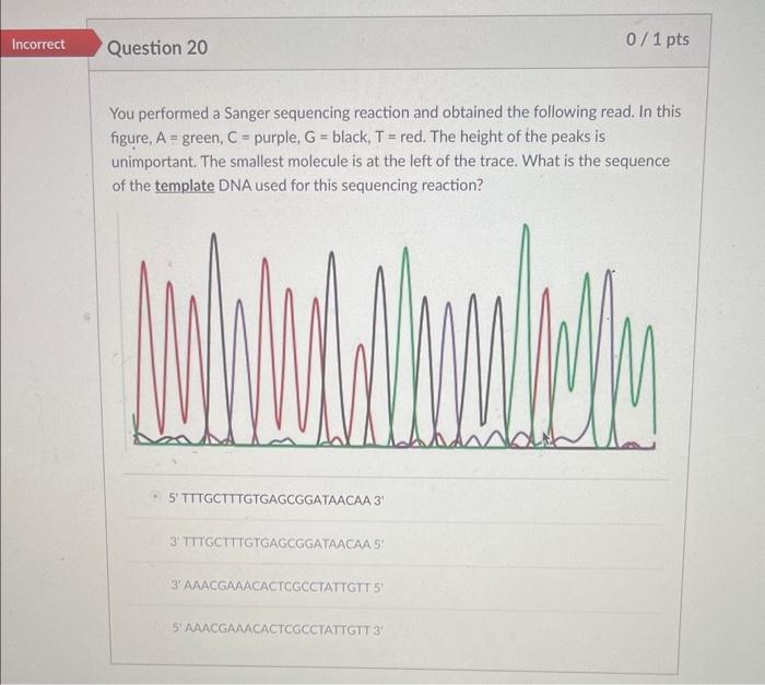 Solved You performed a Sanger sequencing reaction and | Chegg.com