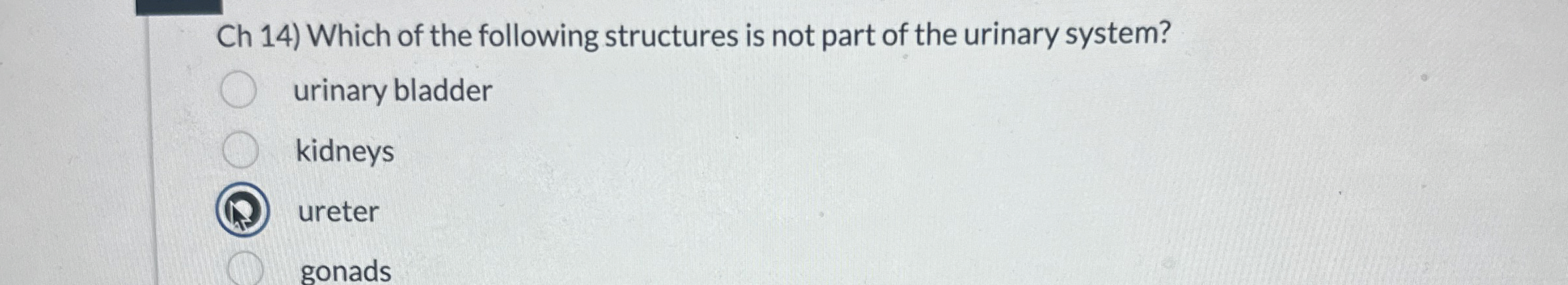 Solved Ch 14) ﻿Which of the following structures is not part | Chegg.com