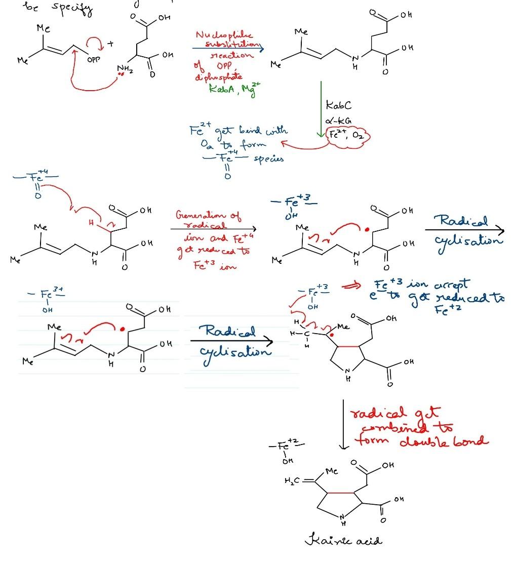 Solved can you plz explain me this mechanism step by step | Chegg.com