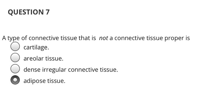 Solved i got these two questions wrong, what is the correct | Chegg.com