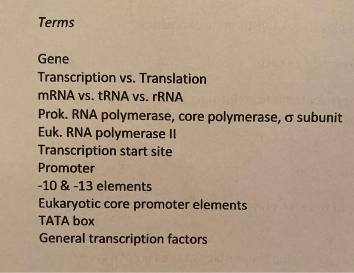 Solved Terms Gene Transcription vs. Translation mRNA vs. | Chegg.com