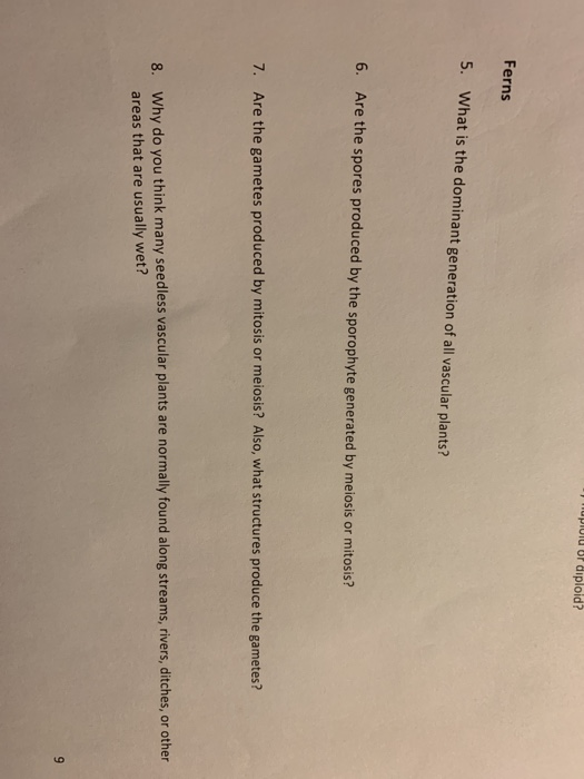 Solved hupidiu Op diploid? Ferns 5. What is the dominant