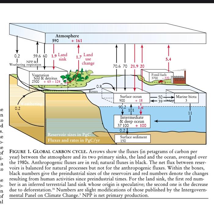 [20 pts] Study the below Carbon cycle carefully and | Chegg.com