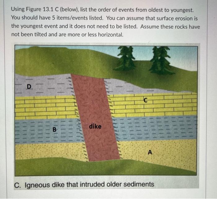 Solved Using Figure 13.1 D (below), list the order of events | Chegg.com