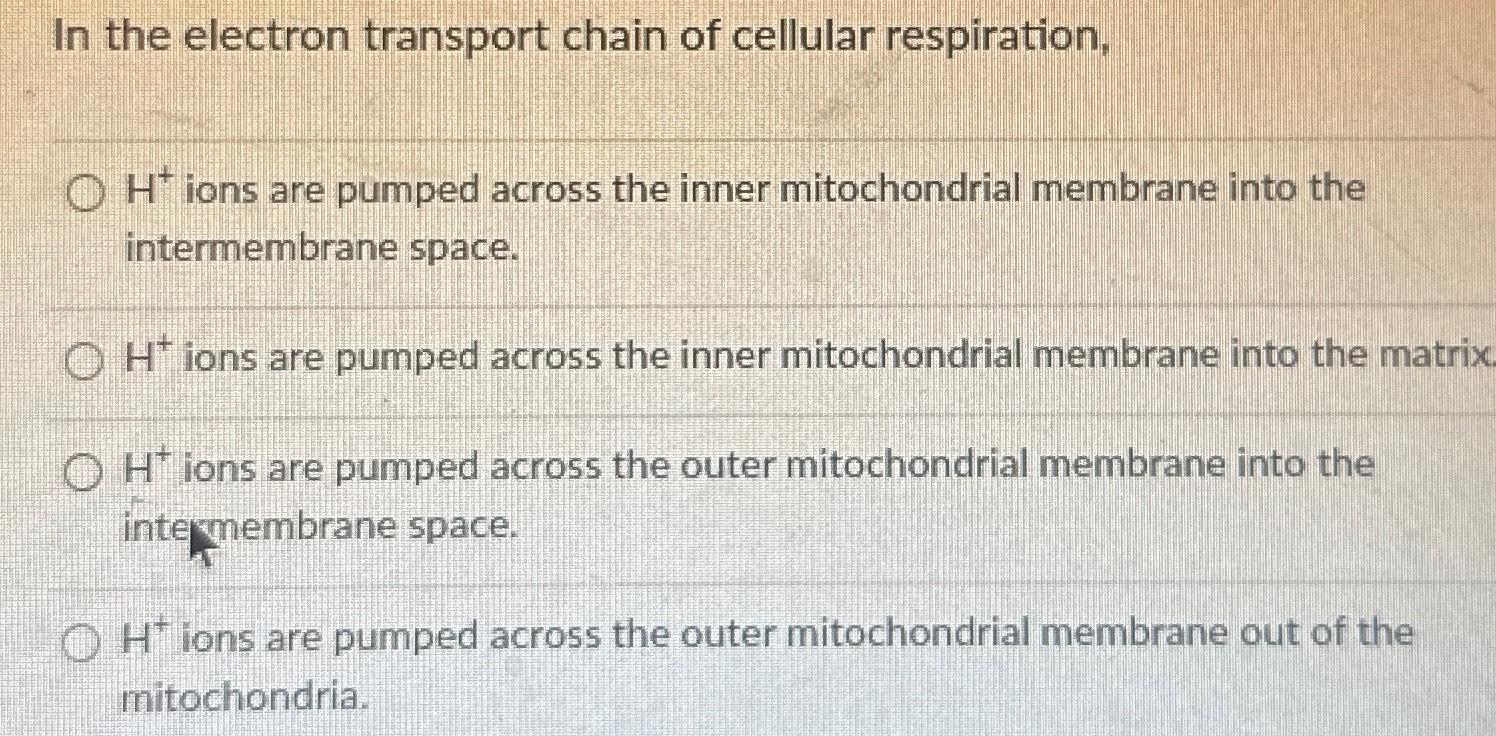 Solved In the electron transport chain of cellular | Chegg.com