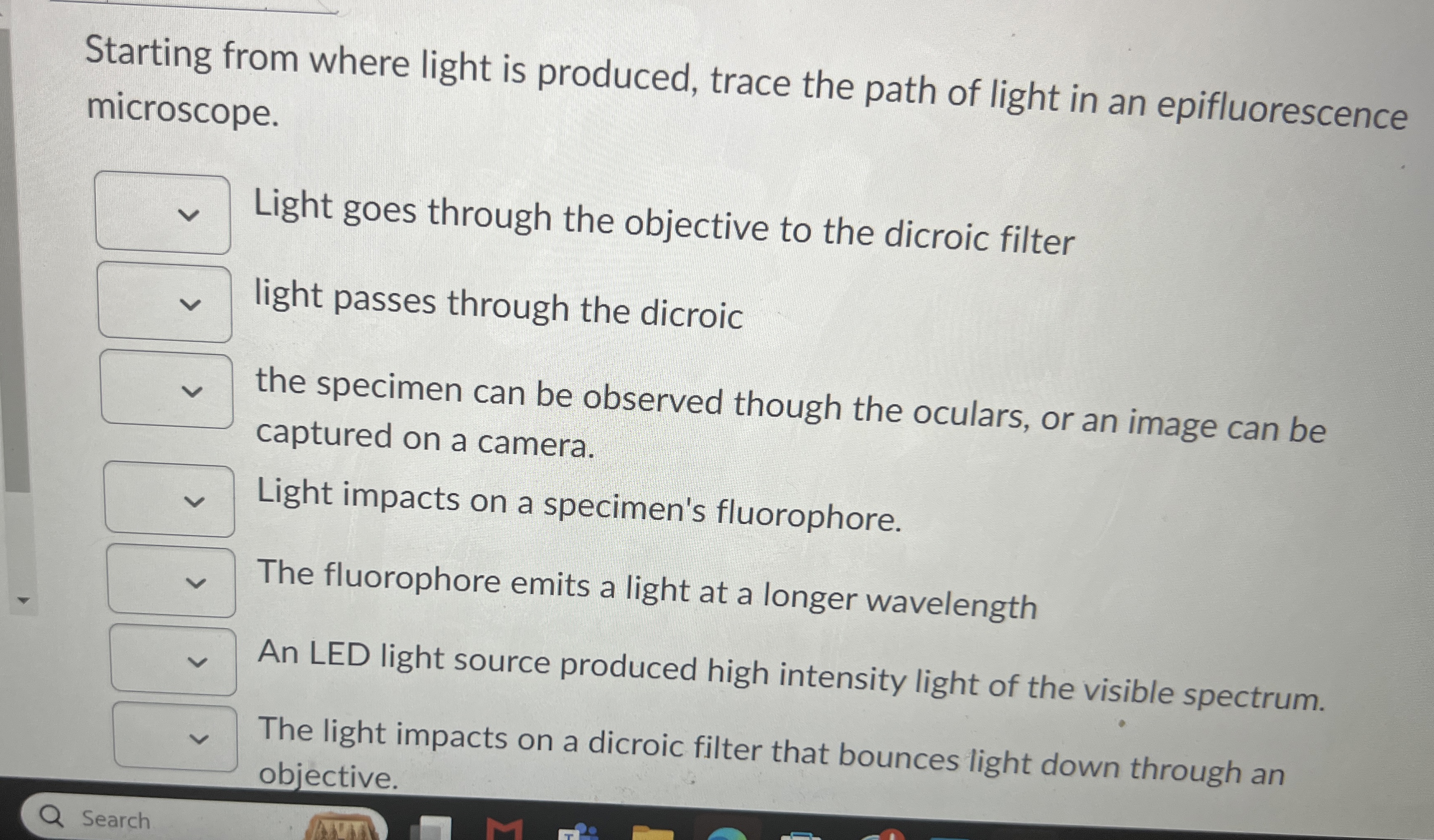 Solved Starting from where light is produced, trace the path | Chegg.com