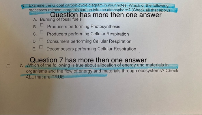 Solved 6. Examine the Global carbon cycle diagram in your | Chegg.com