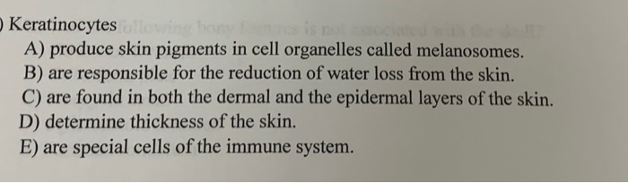 Solved Keratinocytes A Produce Skin Pigments In Cell Chegg