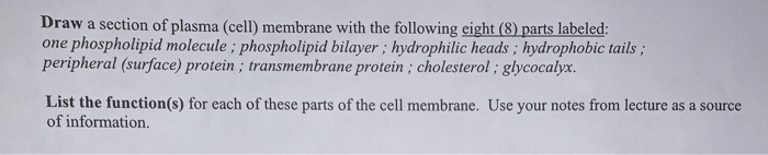 Solved Draw a section of plasma (cell) membrane with the | Chegg.com