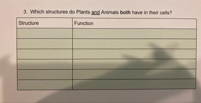 cells of plants and animals are organized into