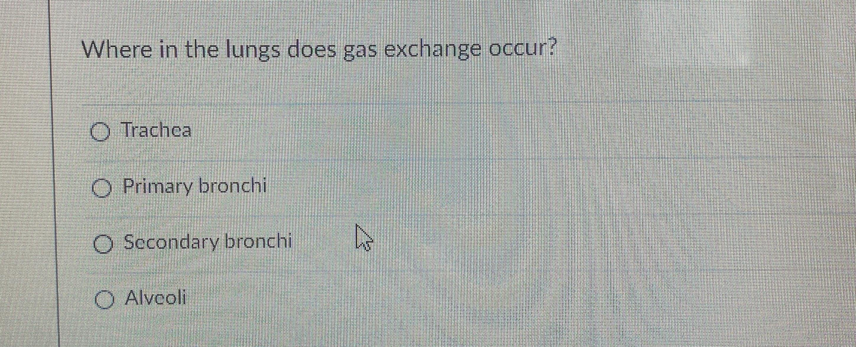 Solved Where in the lungs does gas exchange | Chegg.com