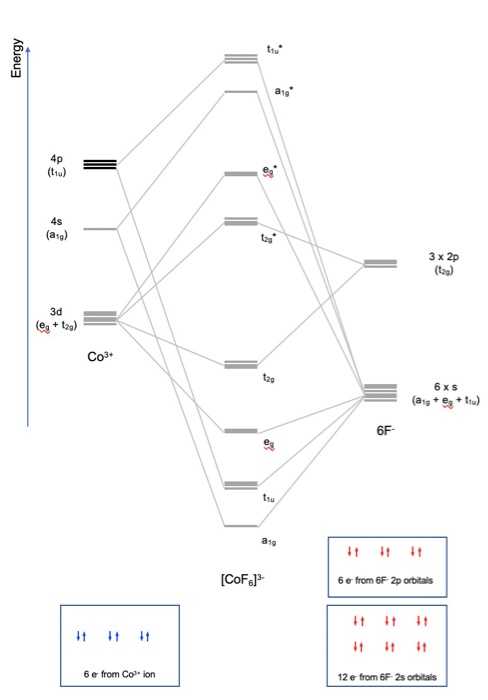 Solved Use Hund S Rule To Populate The Attached Mo Energy Chegg Com