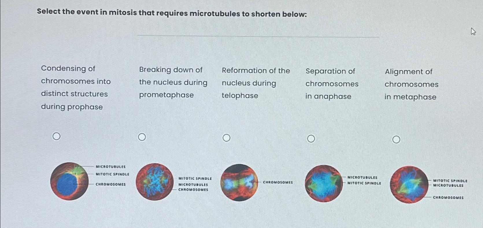 Solved Select the event in mitosis that requires Biology Diagrams
