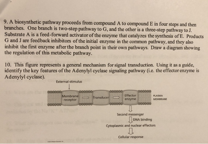 Solved 9. A biosynthetic pathway proceeds from compound A to | Chegg.com