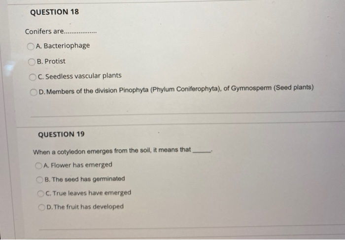 Solved QUESTION 18 Conifers Are.. A. Bacteriophage B. | Chegg.com