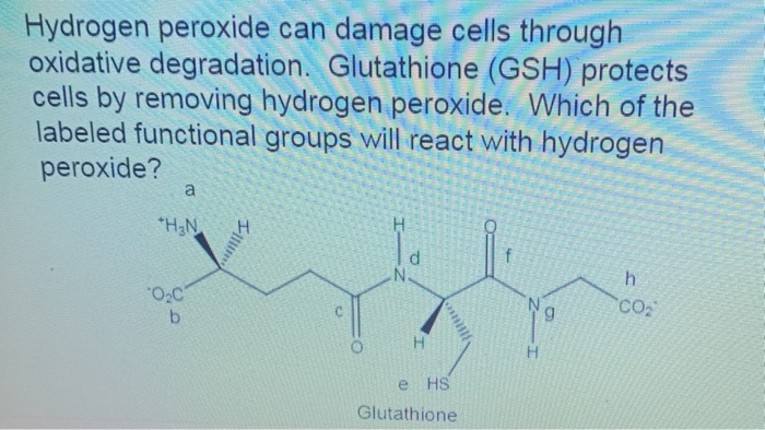 glutathione degradation Measurement of Glutathione as a Tool for Oxidative Stress Studies by High  Performance Liquid Chromatography main image 0