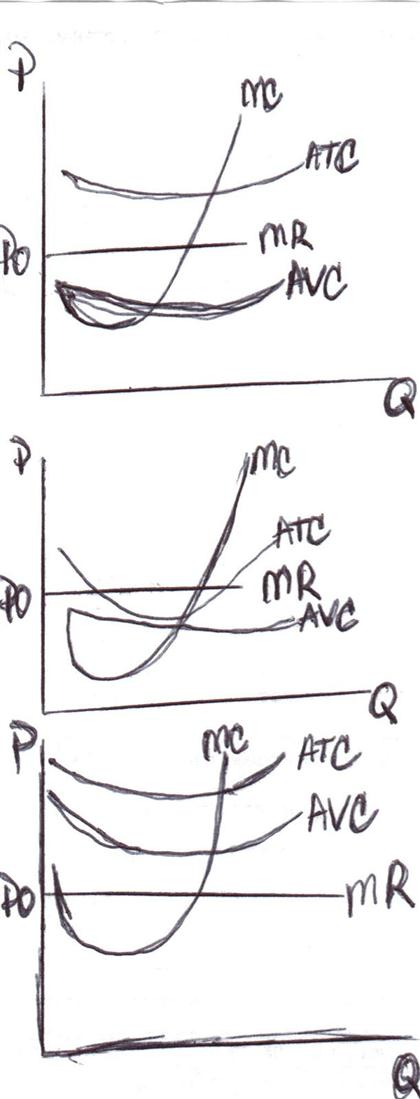 Triple bottom line reporting image