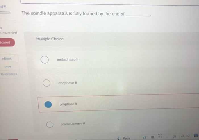 The Spindle Apparatus Is Fully Formed By The End Of | Detroit Chinatown