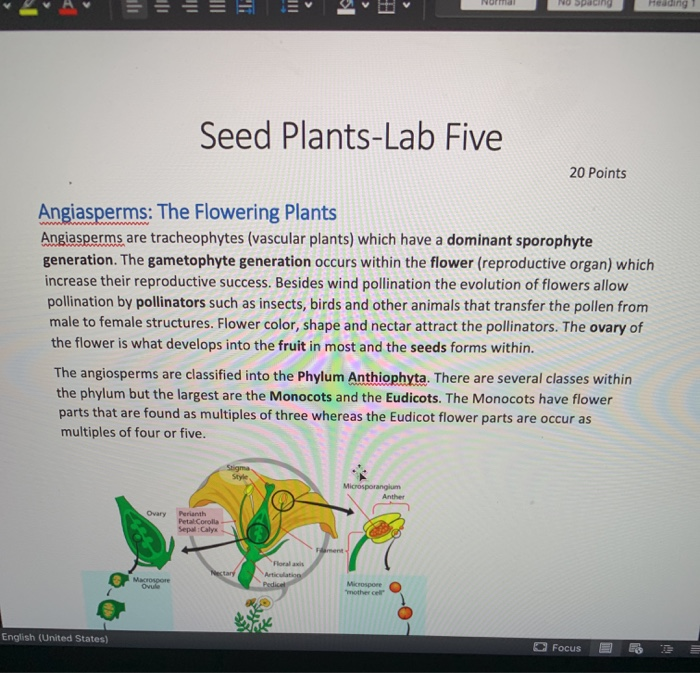 Normal Ee K No Heading Seed Plants Lab Five Chegg Com