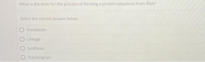 Solved What is the term for the process of forming a protein | Chegg.com