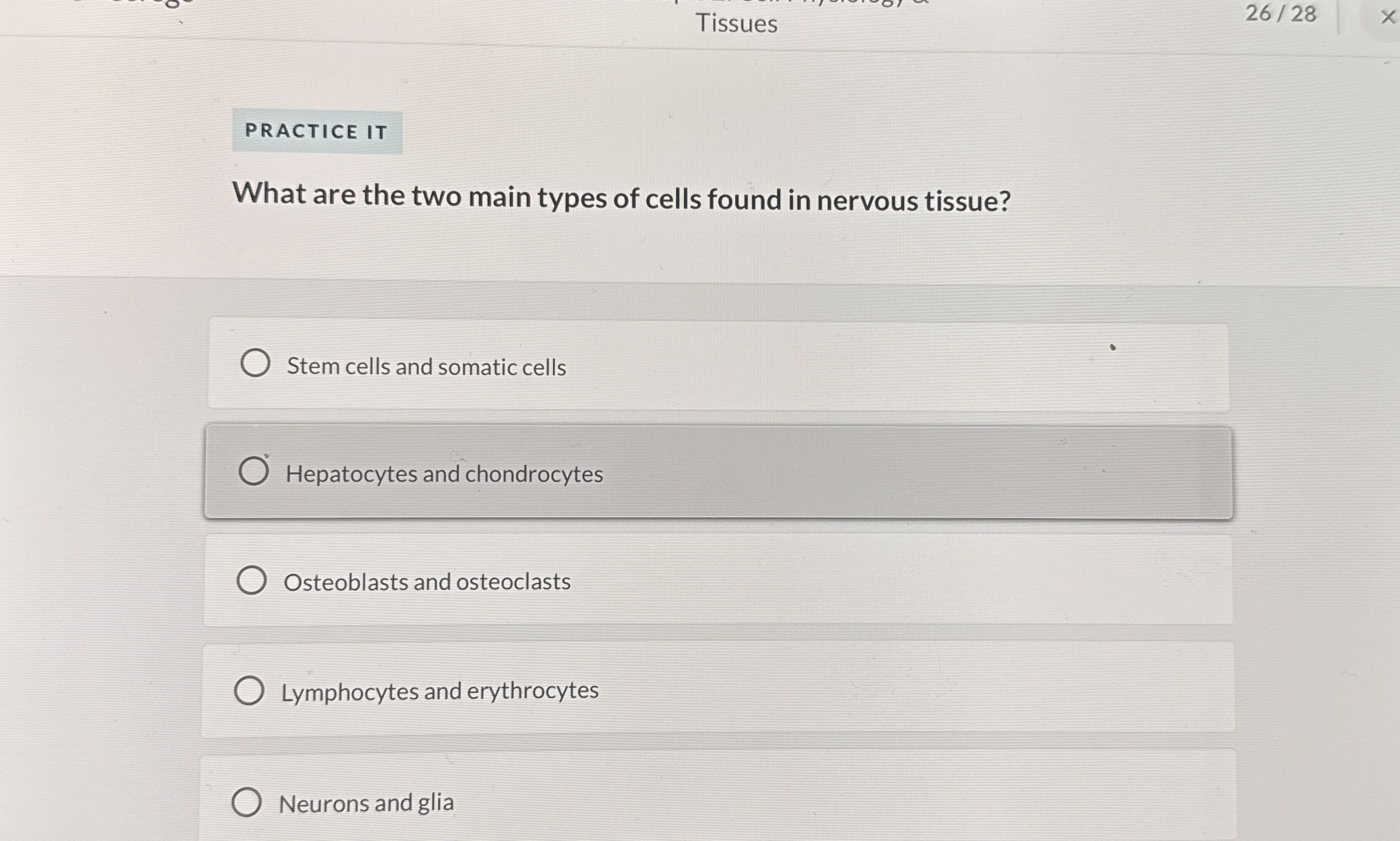 Solved Tissues2628What are the two main types of cells found | Chegg.com