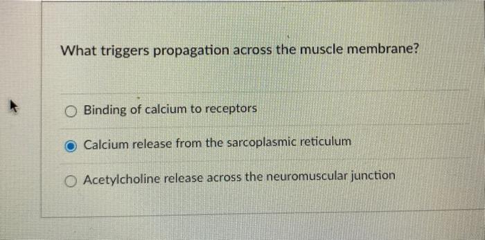 Solved What triggers propagation across the muscle membrane? | Chegg.com