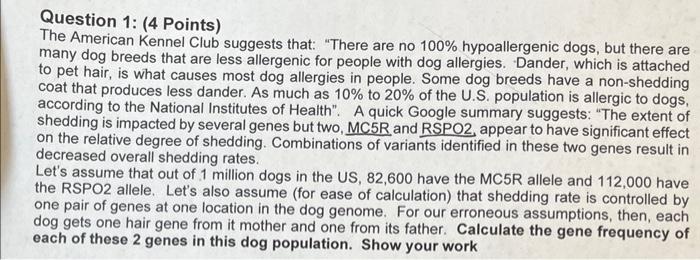 American kennel club hypoallergenic hot sale dogs