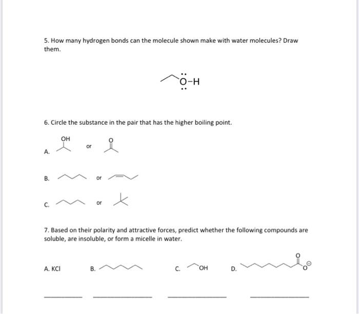 Solved 5 How Many Hydrogen Bonds Can The Molecule Shown