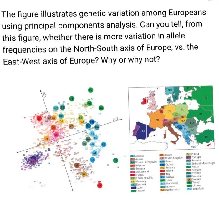 Solved The figure illustrates genetic variation among | Chegg.com