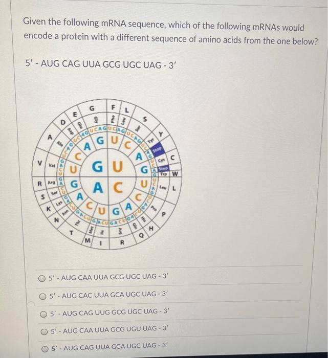 Solved Given the following mRNA sequence, which of the | Chegg.com