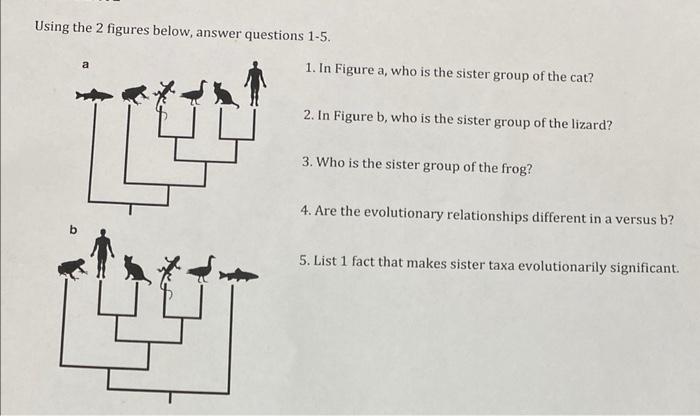 Solved Using the 2 figures below, answer questions 1-5. 1. | Chegg.com
