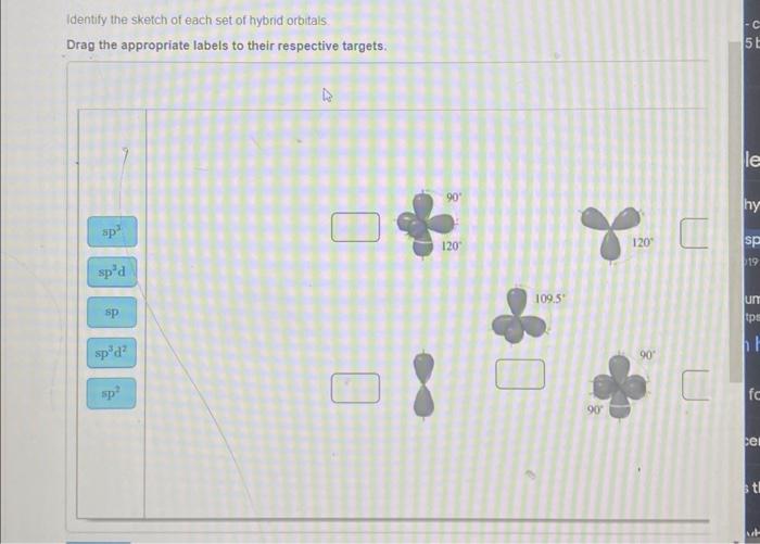 Solved Identify the sketch of each set of hybrid orbitals | Chegg.com