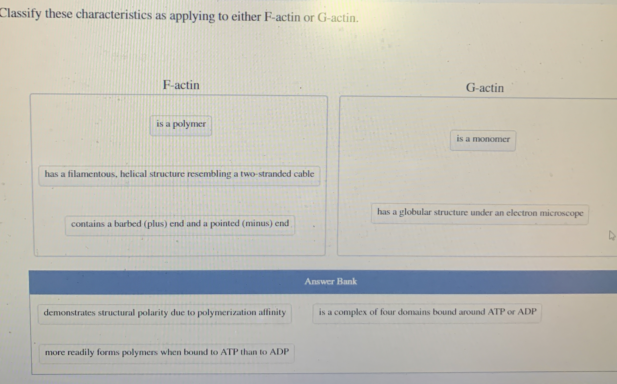 Solved Classify these characteristics as applying to either | Chegg.com