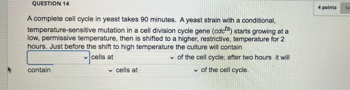 Solved QUESTION 14 4 points Sa A complete cell cycle in | Chegg.com