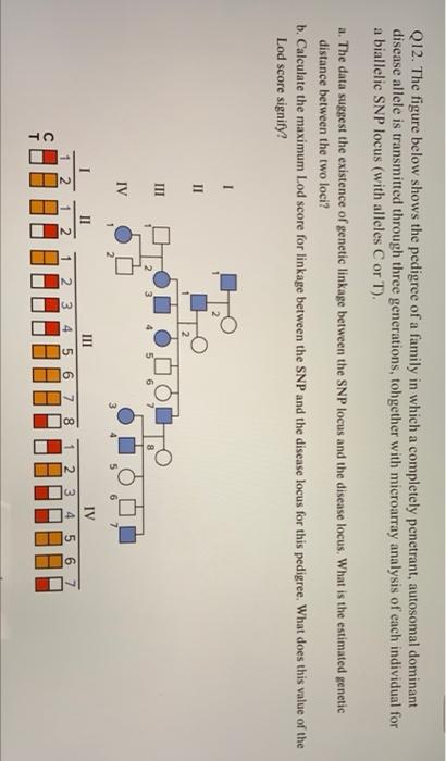 In genetics, the LOD score is a statistical estimate of whether two genes,  or a gene and a disease gene, are likely to be located near each other on a  chromosom…