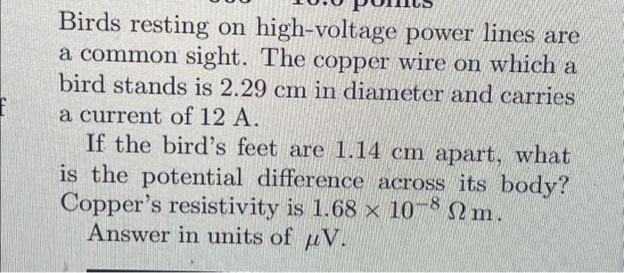 1.68 meter hotsell in feet