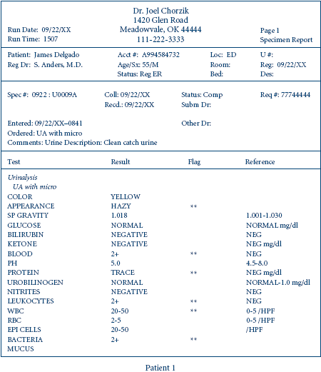Normal Urine Test Results Chart