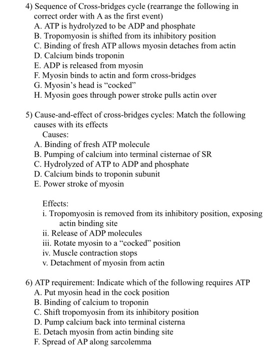 Solved 4) Sequence of Cross-bridges cycle (rearrange the | Chegg.com