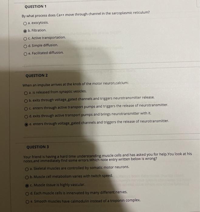 Solved Question 1 By What Process Does Ca Move Through Chegg Com