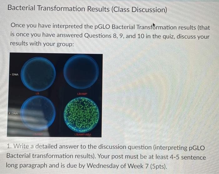 Solved Bacterial Transformation Results (Class Discussion) | Chegg.com