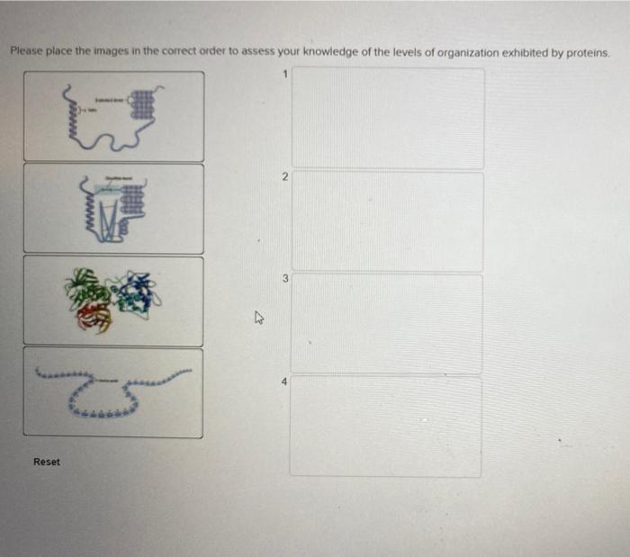 Solved Please place the images in the correct order to | Chegg.com