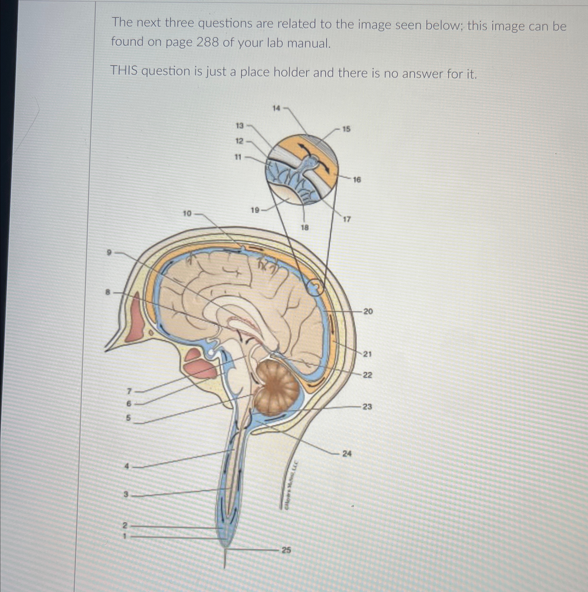 Solved The next three questions are related to the image | Chegg.com