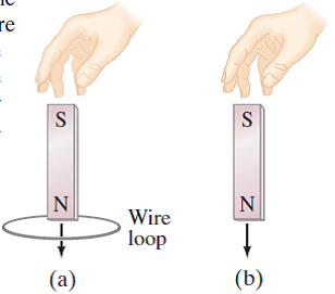 Solved: A bar magnet is held above the floor and dropped (Fig ...