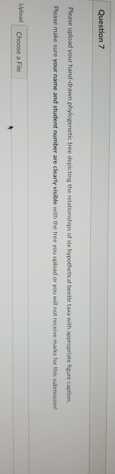 Solved Question 7 Please upload your hand-drawn phylogenetic | Chegg.com