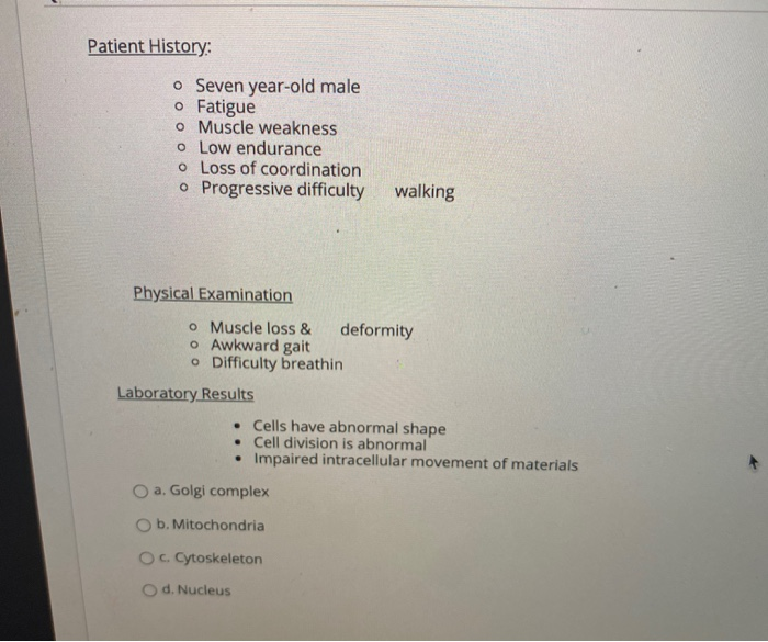 solved-patient-history-o-seven-year-old-male-o-fatigue-o-chegg