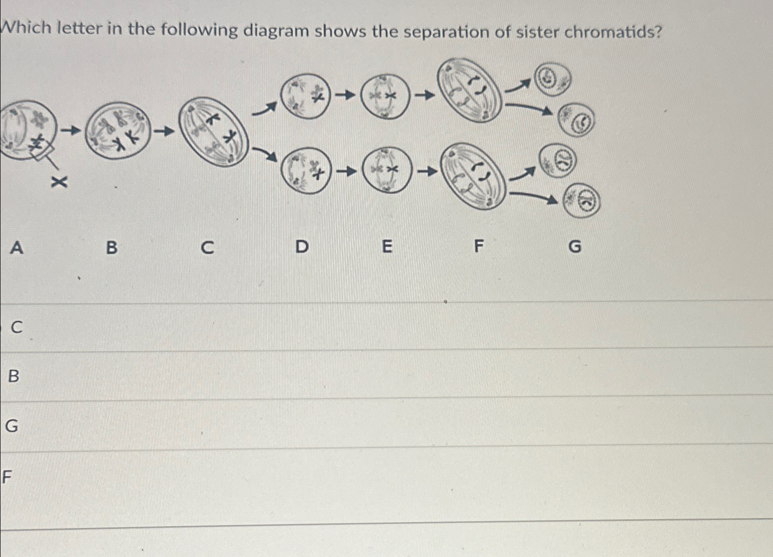 Solved Which letter in the following diagram shows the | Chegg.com