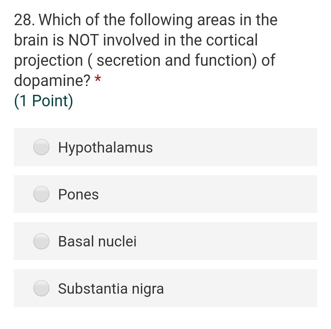 28. Which of the following areas in the brain is NOT involved in the cortical projection ( secretion and function) of dopamin