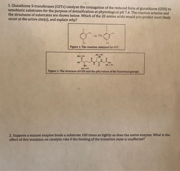 A) HPLC trace of trans-click reaction between 5Tz and glutathione