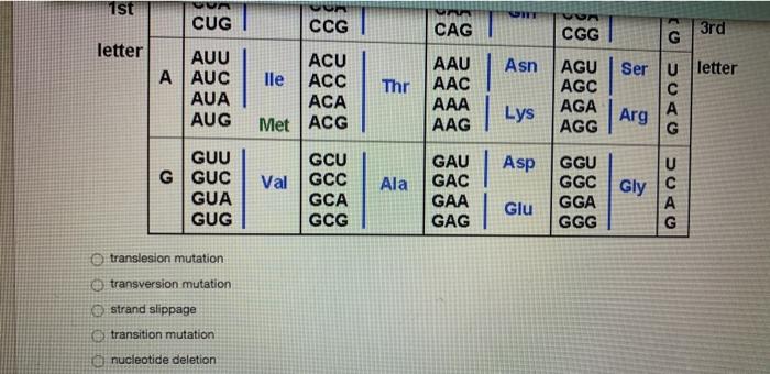 Solved A single base substitution caused the amino acid | Chegg.com